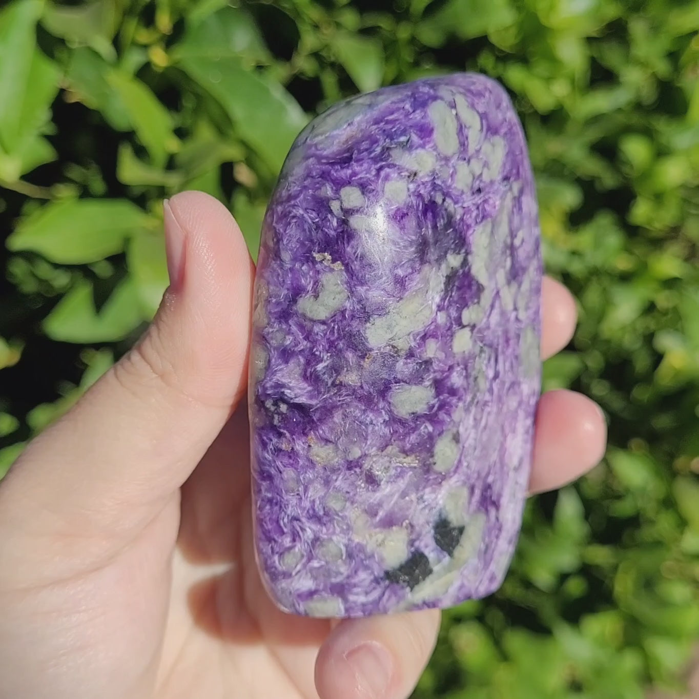 Purple Charoite Crystal Freeform