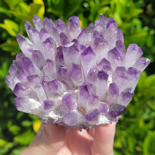 Amethyst Cluster