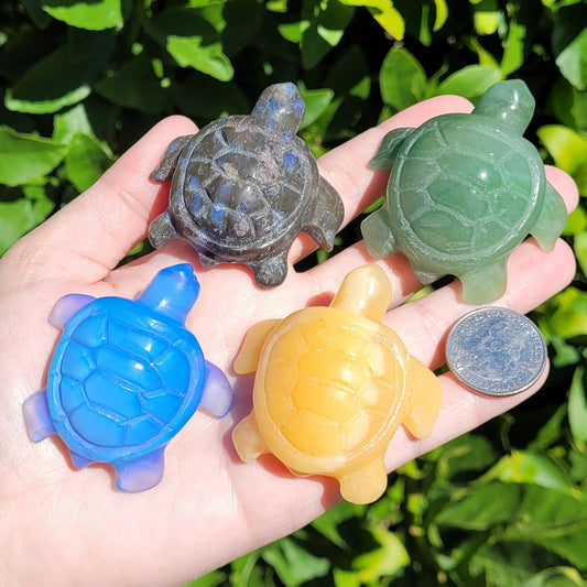 Turtle Crystal