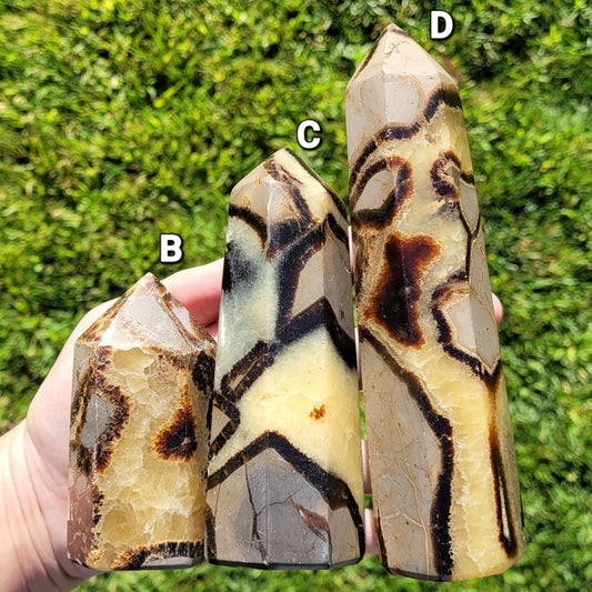 Septarian with Yellow Calcite Towers